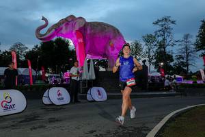 BIB: 
                            <button type="button" onclick="openModal(26529698)" class="btn btn-primary btn-sm float-right btn-popup" data-toggle="modal" data-target=".modal-high-quality">
                        <i class="fas fa-shopping-cart"></i> Add to Cart
                    </button>
                                            <button type="button" onclick="isThisMe(26529698, true)" class="btn btn-success btn-sm float-right btn-popup btn-isme hidden" data-toggle="tooltip" data-placement="bottom" title="นี่คือรูปของคุณใช่ไหม คลิกที่นี่เพื่อเอาเข้าอัลบั้ม">
                        <i class="fas fa-plus"></i> Add to album
                    </button>
                    <button type="button" onclick="isThisMe(26529698, false)" class="btn btn-warning btn-sm float-right btn-popup btn-isnotme hidden">
                        <i class="fas fa-ban"></i> Remove from album
                    </button>